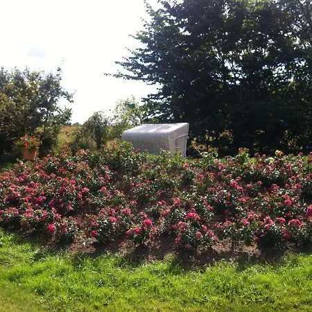 Lh Westermueuer, App 3